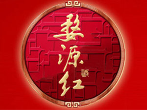 ԴtƘI(y)޹˾