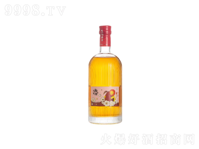{Ӹ÷ӹŮʿͶȺ~÷ƺǹƞ÷÷500ml