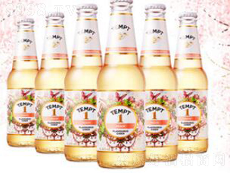 TEMPT-CIDERT1̖4330ml