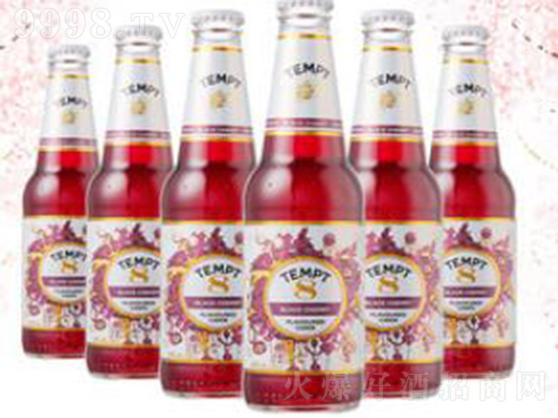 TEMPT-CIDERT8̖4330ml
