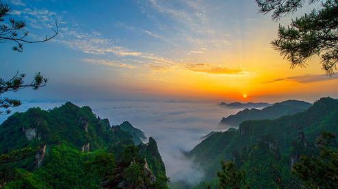 張家界森林公園（金鞭溪、袁家界、楊家界、天子山、十里畫廊）住山上2天1游（可看日出）