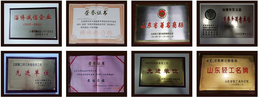 山東百糧春酒業(yè)有限公司